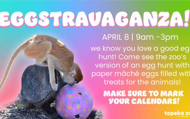 Topeka Zoo Eggstravaganza on Saturday, April 8th